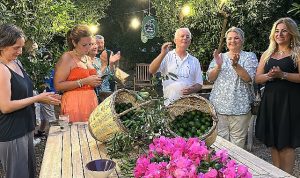 pernod-ricard-ve-bodrum-mandalin-hareketinden-yesil-bodrum-mandalini-icin-is-birligi-KDJD6d1U.jpg