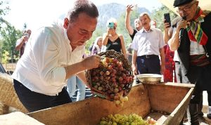 antalya-gastronomi-festivalinin-ikinci-gununde-mor-uzum-hasadi-uTrrMFHL.jpg