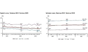 mevsim-etkisinden-arindirilmis-issizlik-orani-yuzde-94-seviyesinde-gerceklesti-jinBm3eR.jpg