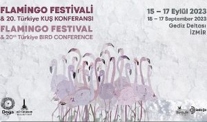 turkiyenin-ilk-flamingo-festivali-izmirde-gerceklesiyor-t3g3w321.jpg