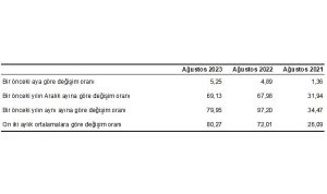 hizmet-uretici-fiyat-endeksi-h-ufe-yillik-yuzde-7995-aylik-yuzde-525-artti-wYbhtG8M.jpg