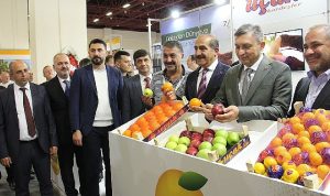 yas-meyve-sebze-sektoru-3022-milyar-dolarlik-ovp-ihracat-hedefine-4-milyar-dolar-katki-VH8mGURK.jpg
