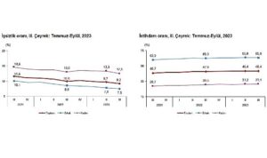 mevsim-etkisinden-arindirilmis-issizlik-orani-yuzde-92-seviyesinde-gerceklesti-xFtncJMz.jpg