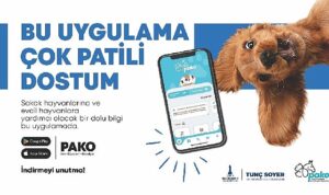 buyuksehirden-can-dostlar-icin-pako-mobil-uygulamasi-jjRUOpWR.jpg