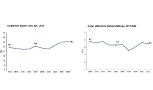 girisimlerin-2022-yilinda-dogum-orani-yuzde-161-oldu-Febm4ACj.jpg