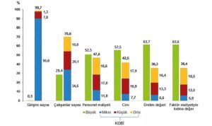 kucuk-ve-orta-buyuklukteki-girisim-istatistikleri-2022-fGnHSrUb.jpg