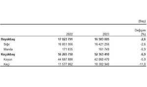 buyukbas-hayvan-sayisi-bir-onceki-yila-gore-yuzde-26-azalarak-16-milyon-583-bin-uKNPzgUd.jpg