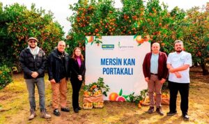 metro-turkiye-cografi-isaret-tesciline-aday-mersin-kan-portakalinin-izinde-nIg4ThdC.jpg