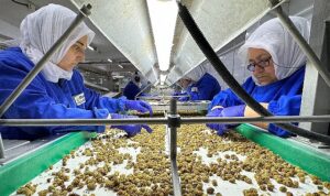 turkiye-organik-urun-ihracatinda-1-milyar-dolar-sinirini-asti-yeni-ihracat-hedefi-2-milyar-qXK4X2Fg.jpg