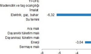 yurt-ici-uretici-fiyat-endeksi-ocak-2024-CqsGdRDk.jpg
