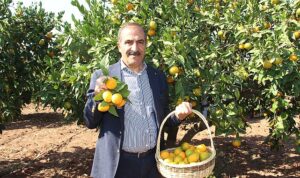 narenciye-sektoru-kktcde-gorulen-yesillenme-hastaliginin-turkiyeye-sicramamasi-icin-topyek-n-mucadele-istiyor-wOvHuP3P.jpg
