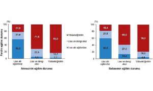 tuik-dezavantajlarin-kusaklararasi-aktarimi-2023-ArfFhPTf.jpg