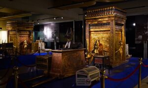 tutankhamun-cocuk-firavunun-hazineleri-sergisine-ankaralilardan-buyuk-ilgi-eME9dGqV.jpg
