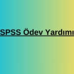 spss ödev (1)