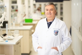 damarlari-tikayan-plaklarda-toxoplasma-gondiinin-dnasi-bulundu.jpg