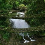 3-bolumden-olusan-vahsi-hindistan-1-mart-cumartesi-gunu-20-00de-national-geographic-wild-ekranlarinda-basliyor.jpg