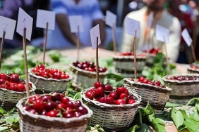 baskan-gorkem-dumandan-kiraz-festivaline-davet.jpg