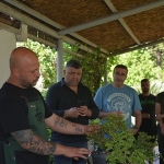 dogadan-sanata-sanattan-sehre.jpg