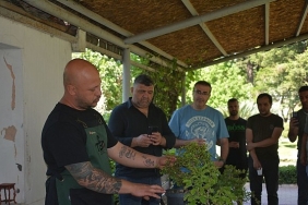 dogadan-sanata-sanattan-sehre.jpg