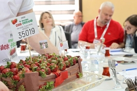 menemende-festival-coskusu-yasanacak.jpg