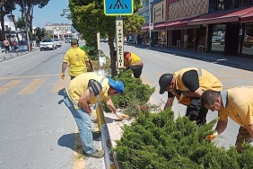 baskan-cercioglunun-hizmetleri-kusadasini-doganin-yesil-tonlari-ile-bulusturuyor.jpg