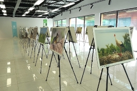 bu-fotograf-sergisi-ormanyada-gorsel-solen-sunuyor.jpg