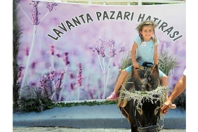 mis-gibi-senlik-seferihisarda-lavanta-buyusu-basliyor.jpg