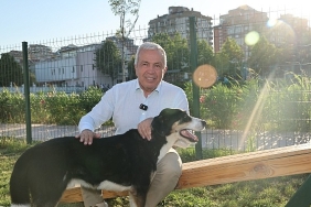 niluferde-can-dostlar-yeni-yuvalarina-kavustu.jpg