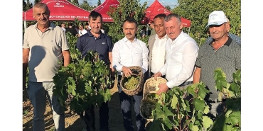baskan-buyukakin-izmitte-uzum-hasadina-katildi.jpg