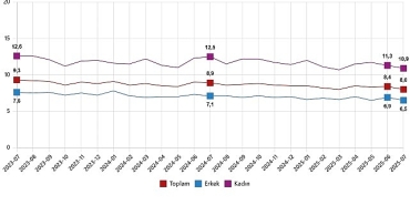 isgucu-istatistikleri-temmuz-2025.jpg