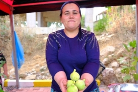 menemende-bozalan-incir-festivali-heyecani-yasanacak.jpg