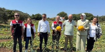 meshur-cesme-kavununda-hasat-zamani.jpg