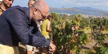6-7-eylulde-bir-baskadir-avsa-etkinliginin-programi-aciklandi.jpg
