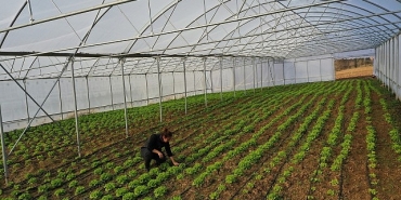 buyuksehirden-ciftcilere-modern-sera-destegi.jpg