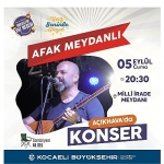 milli-iradede-yerel-sanatci-ruzgari.jpg