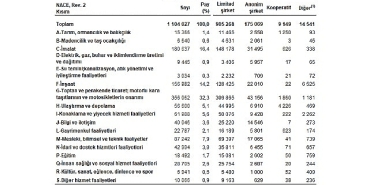 sektor-bilancolari-2024.jpg