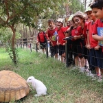 buyuksehir-dogal-yasam-parkinda-4-ekim-kutlamasi.jpg