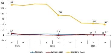 isgucu-girdi-endeksleri-iii-ceyrek-temmuz-eylul-2025.jpg