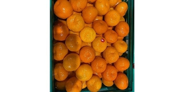 mandalina-ihracati-tarih-yaziyor.jpg