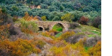 sonbaharin-tum-renkleri-bayindirda-bulustu.jpg