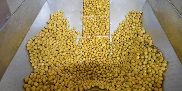 zeytin-ve-zeytinyagi-sektorunde-gucler-urge-projesinde-birlestirilecek.jpg