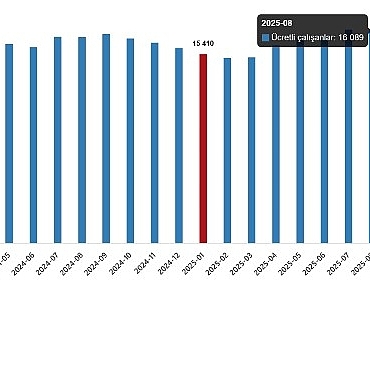 ucretli-calisan-istatistikleri-ocak-2026.jpg